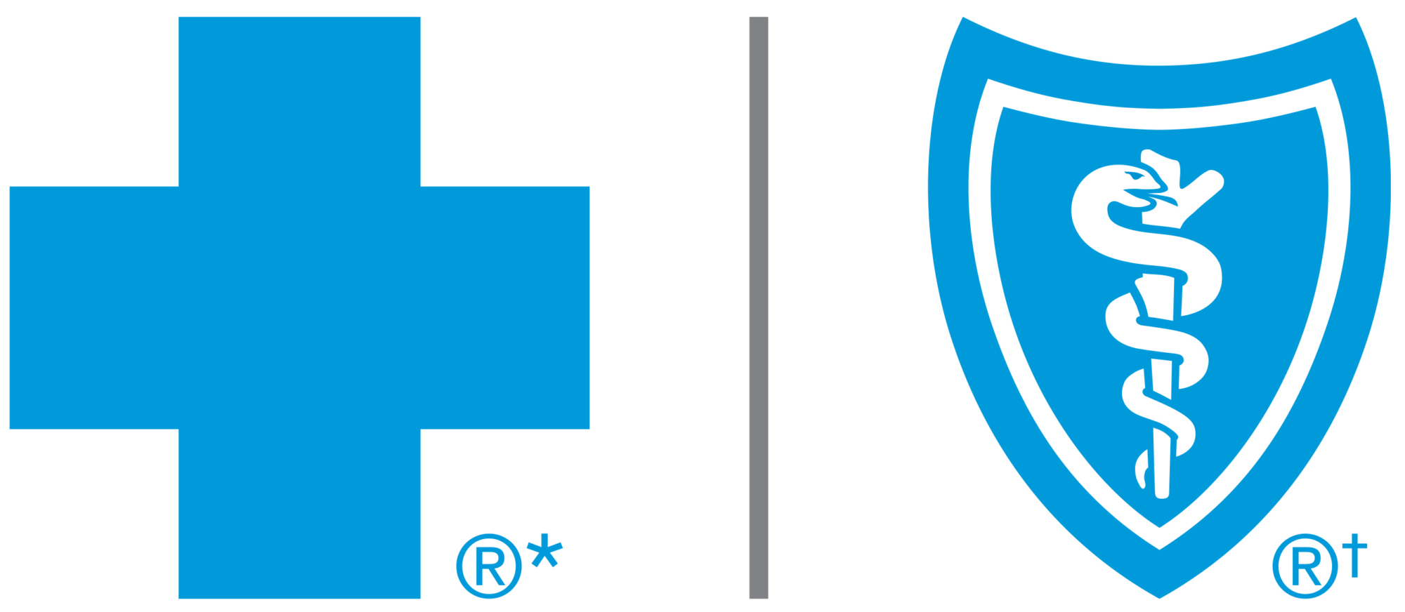 Bluecross Health footer logo group